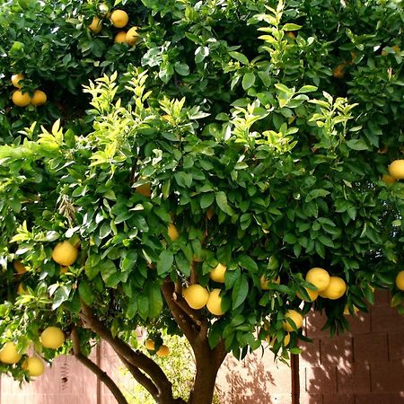 Lemon Tree Hotell Donji Seget Eksteriør bilde